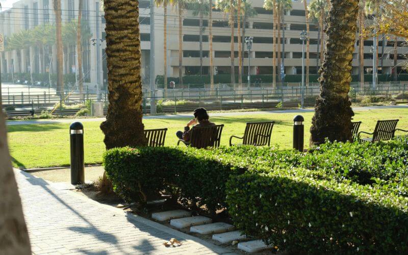 morning sunlight outdoor nature calm energy healthy habits