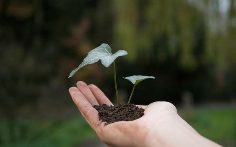 habit tracker calendar - tracking daily habits that stick with visual system