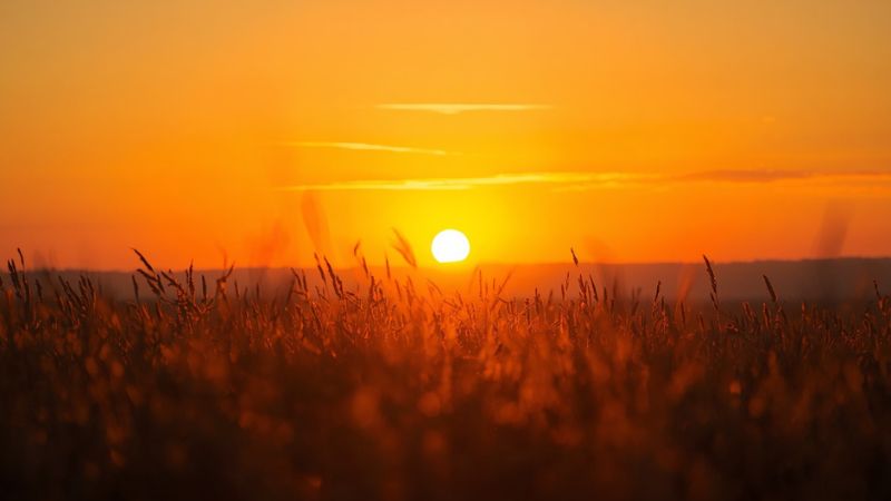 A beautiful golden sunrise landscape symbolizing hope and new beginnings when you learn how to start a gratitude journal daily